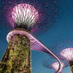 Super tree in Singapore Gardens by the Bay