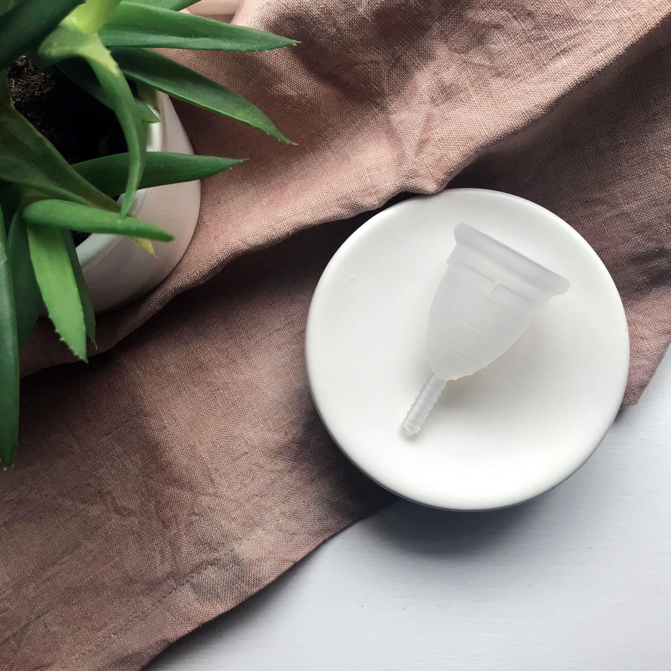 clear menstrual cup on a white dish next to a green plant