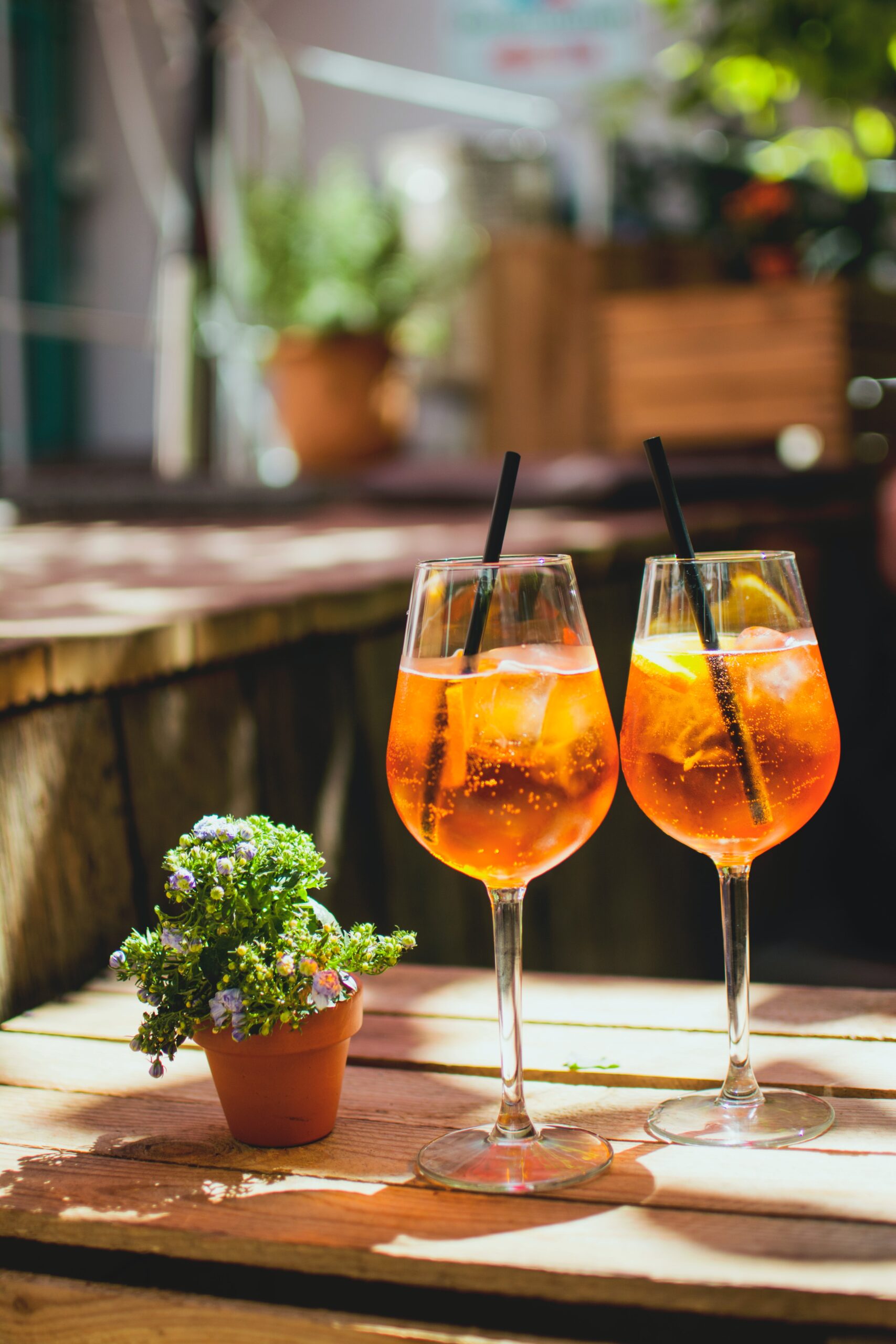 Two glasses of Aperol Spritz on a table with a small plant