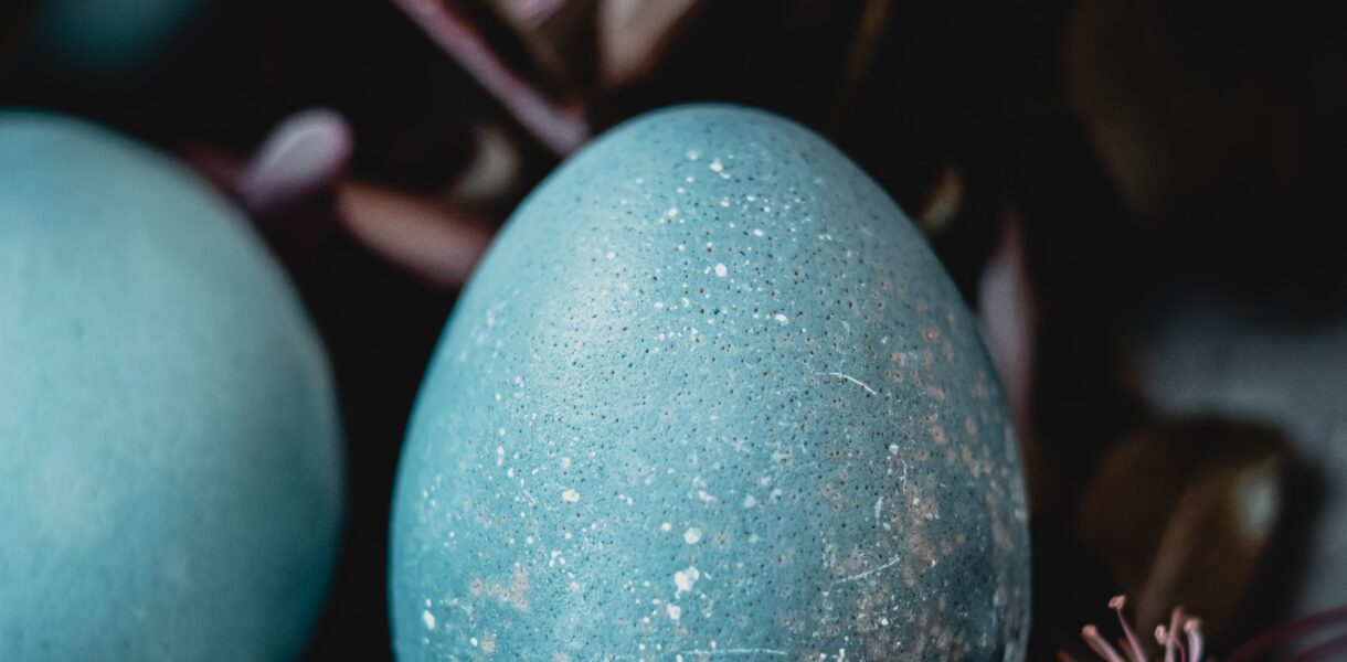 Easter egg guide - Roonee - blue egg