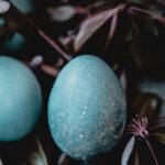 Easter egg guide - Roonee - blue egg