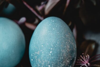 Easter egg guide - Roonee - blue egg