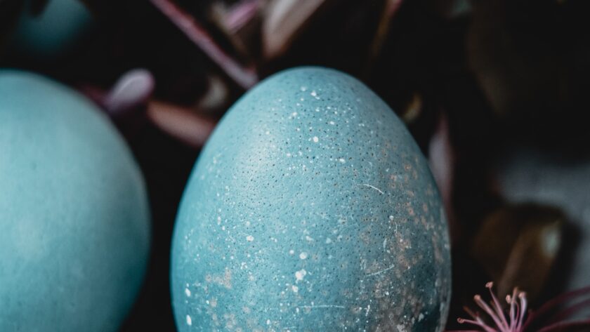 Easter egg guide - Roonee - blue egg