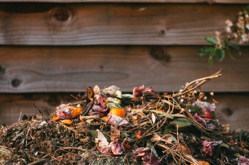 Compost Week - compost heap