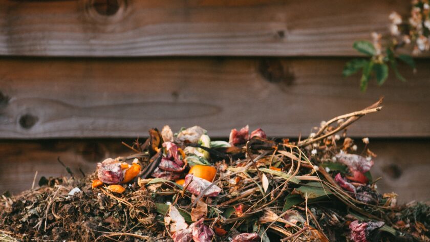Compost Week - compost heap