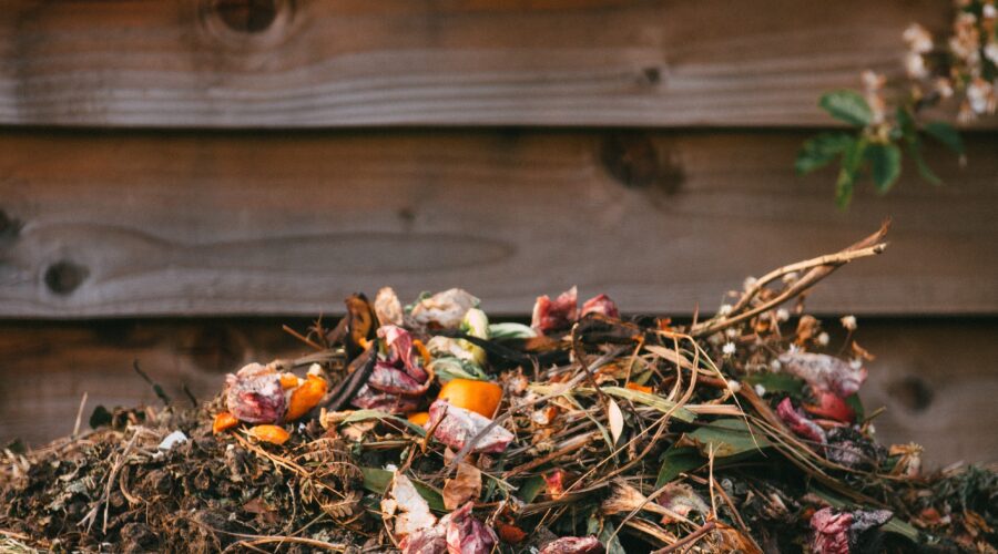 Compost Week - compost heap