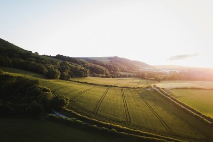 Lancashire - Roonee