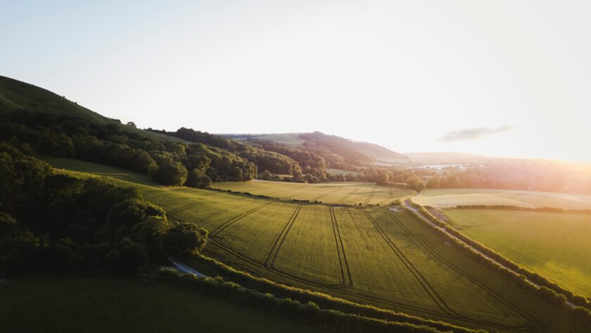 Lancashire - Roonee