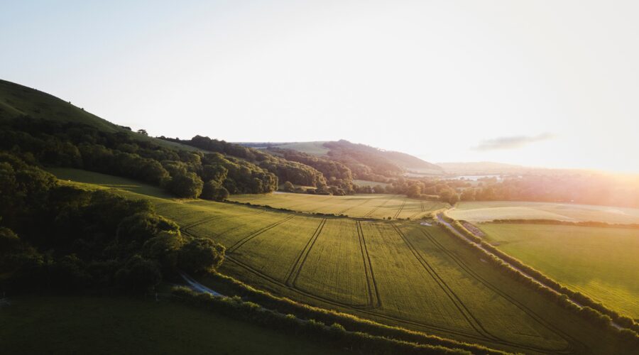 Lancashire - Roonee
