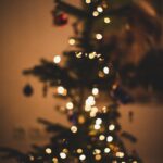 A Christmas tree with twinkling fairy lights