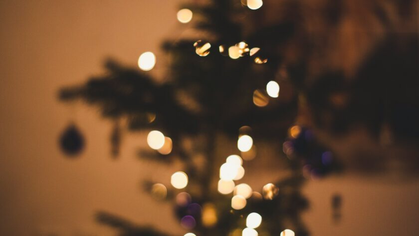 A Christmas tree with twinkling fairy lights
